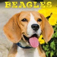Beagles 2026 Wall Calendar