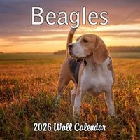 Beagles 2026 Calendar