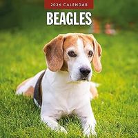 Beagles 2026 Calendar