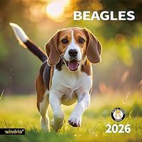Beagles 2026 Calendar