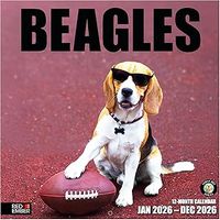 Beagles 2026 Calendar