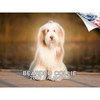 Bearded Collies 2027 Calendar
