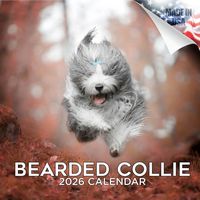 Bearded Collie 2026 Calendar