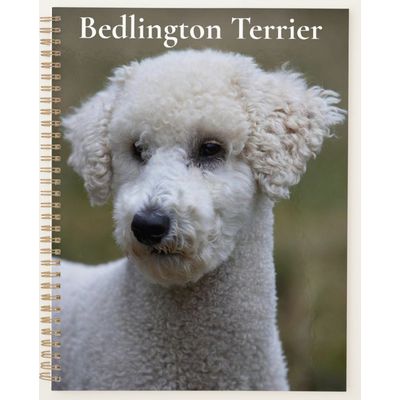 Bedlington Terrier Planner