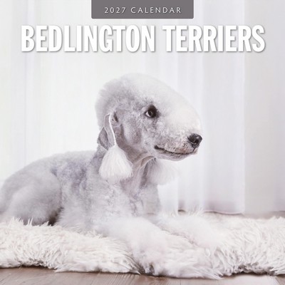 Bedlington Terrier 2027 Wall Calendar
