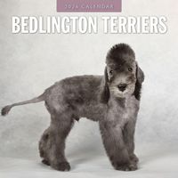 Bedlington Terrier 2026 Calendar