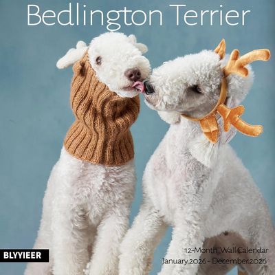 Bedlington Terrier 2026 Calendar