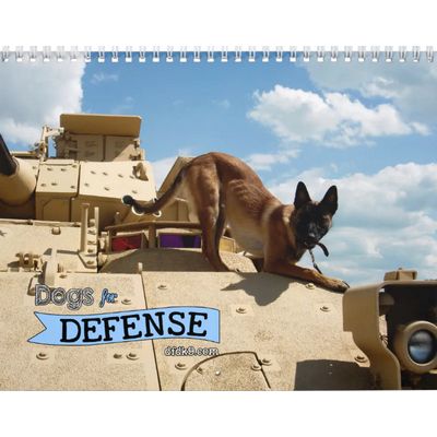 Belgian Malinois 2027 Wall Calendar