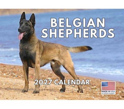 Belgian Shepherds 2027 Wall Calendar
