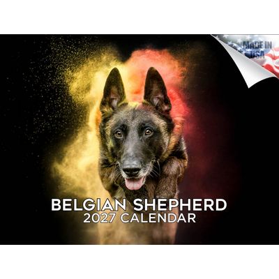 Belgian Shepherd 2027 Wall Calendar