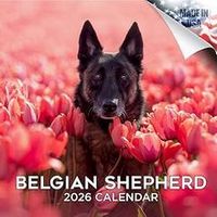 Belgian Shepherd 2026 Wall Calendar