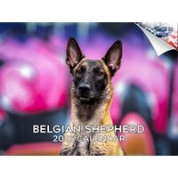 Belgian Shepherd 2026 Wall Calendar