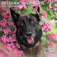 Belgian Shepherd 2026 Wall Calendar