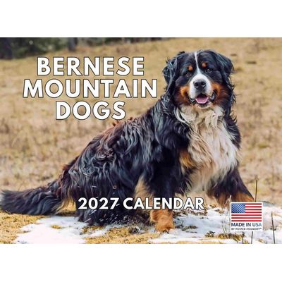 Bernese Mountain Dogs 2027 Calendar
