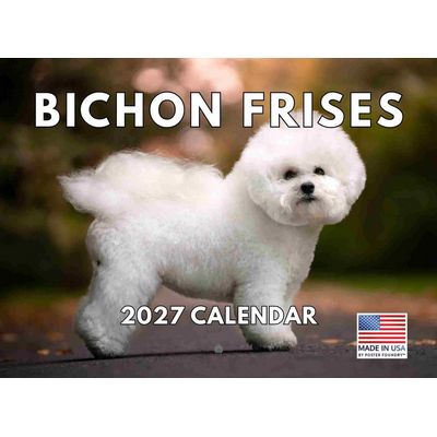 Bichon Frise 2027 Wall Calendar