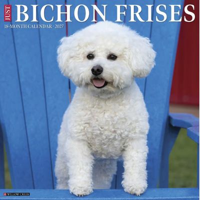 Bichon Frises 2027 Wall Calendar