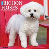 Just Bichon Frises 2026 Calendar