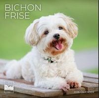 Bichon Frise 2026 Wall Calendar
