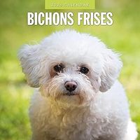 Bichon Frise 2026 Wall Calendar
