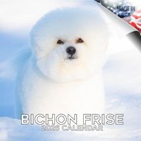 Bichon Frise 2026 Wall Calendar