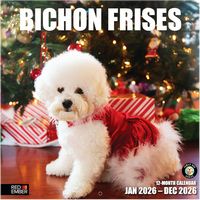 Bichon Frise 2026 Wall Calendar