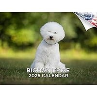 Bichon Frise 2026 Wall Calendar