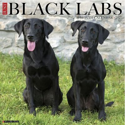 Just Black Labs 2027 Wall Calendar