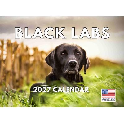 Black Labrador Retriever 2027 Wall Calendar