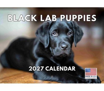 Black Lab Puppies 2027 Wall Calendar