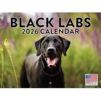 Black Labs 2026 Calendar