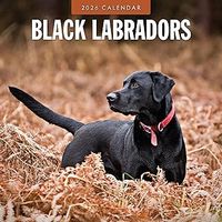 Black Labradors 2026 Wall Calendar