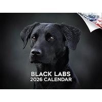 Black Labradors 2026 Wall Calendar