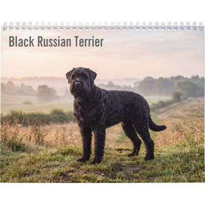 Black Russian Terrier 2027 Calendar