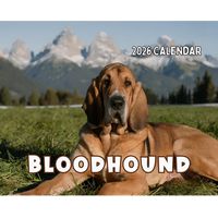 Bloodhounds 2026 Wall Calendar
