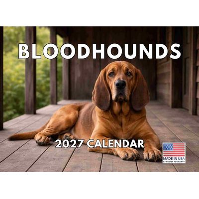 Bloodhounds 2027 Wall Calendar