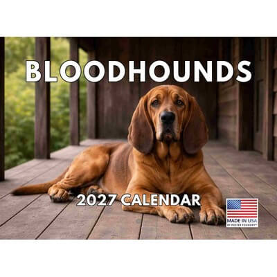 Bloodhounds 2027 Wall Calendar