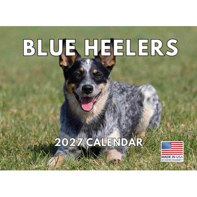 Blue Heelers 2027 Calendar