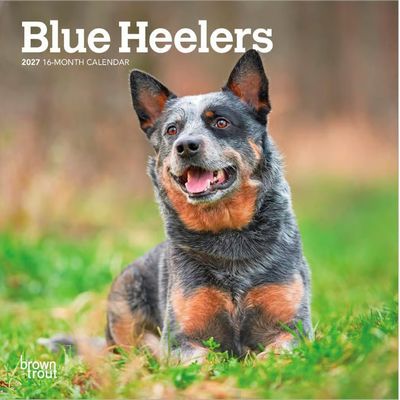 Blue Heelers 2027 Mini Wall Calendar