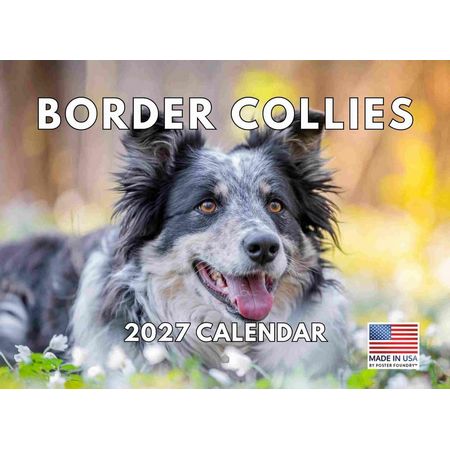 Border Collie 2027 Wall Calendar