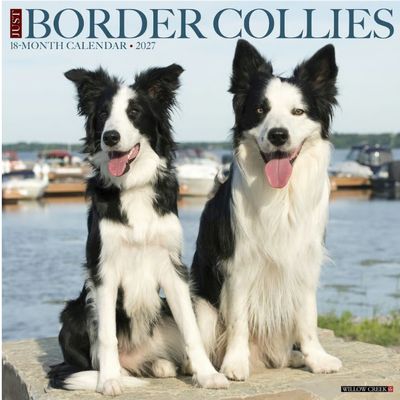 Border Collies 2027 Wall Calendar