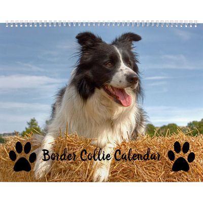 Border Collies 2027 Wall Calendar