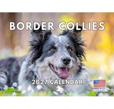 Border Collies 2027 Wall Calendar