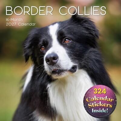 Border Collies 2027 Wall Calendar