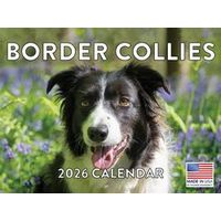 Border Collies 2026 Calendar