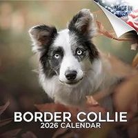 Border Collies 2026 Calendar