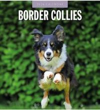 Border Collies 2026 Calendar