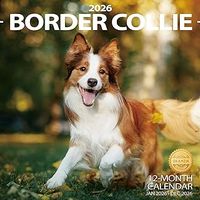 Border Collies 2026 Calendar