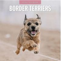 Border Terrier 2026 Calendar