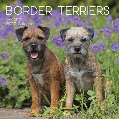 Border Terriers 2027 Calendar