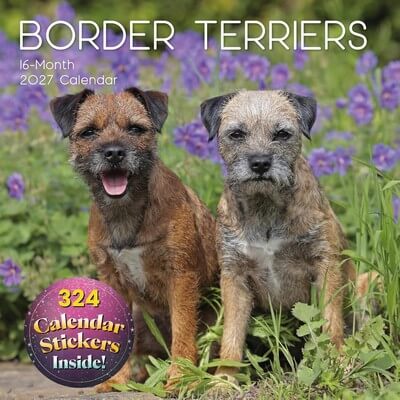 Border Terrier 2027 Calendar